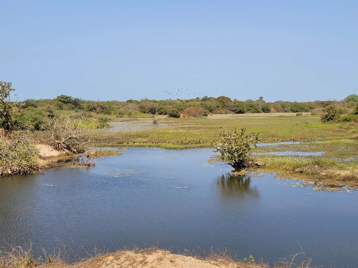 Kartong Bird Observatory